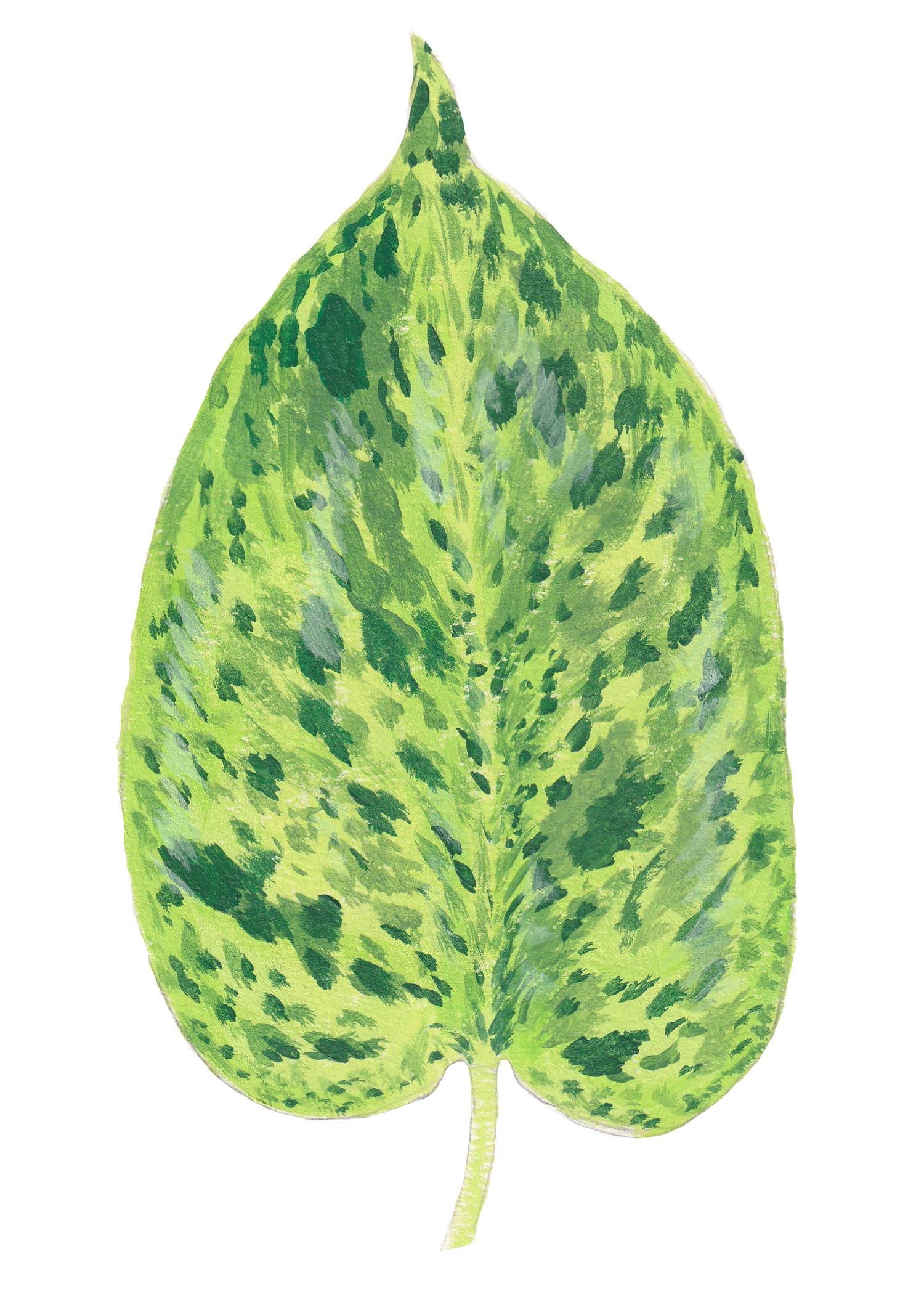 Pothos Leaf in Acrylics